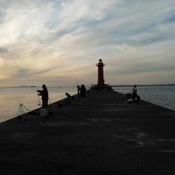 活性が下がった播磨新島のキス