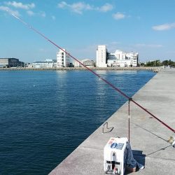 東二見に連投しました