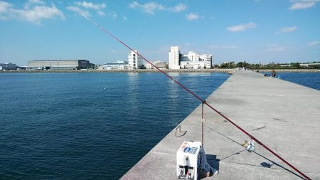 東二見に連投しました