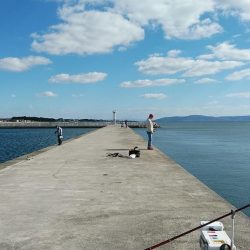強風の東二見釣行