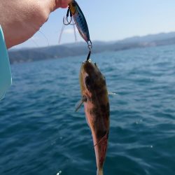 ゴムボート釣行