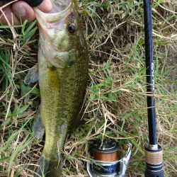 雨上がりの2時間釣行