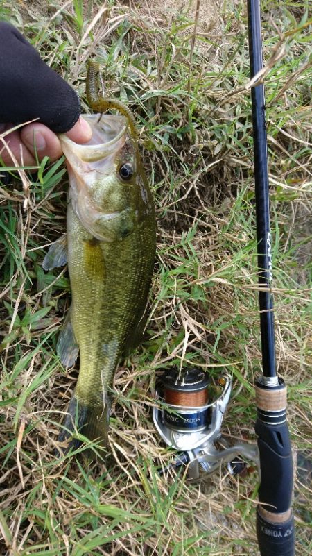 雨上がりの2時間釣行
