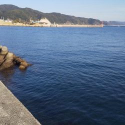 エギングとヤエン