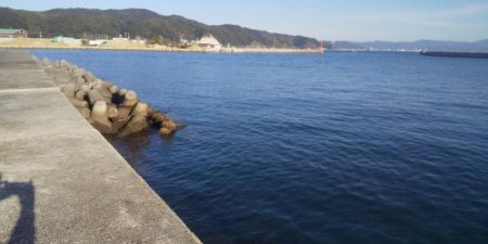 エギングとヤエン