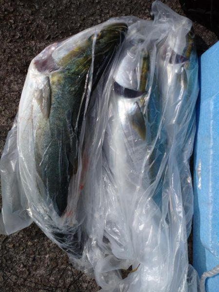 初めてといつもの