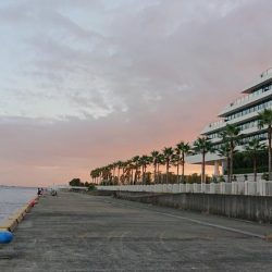 無念のサビキ釣り
