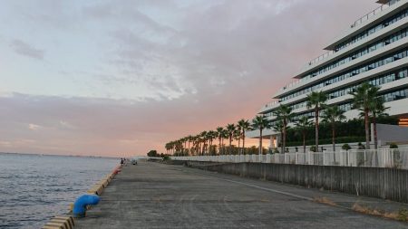 無念のサビキ釣り