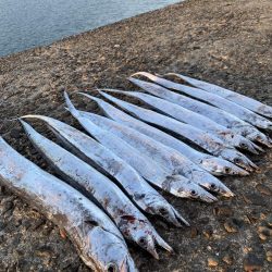 もう夜釣りは激寒です