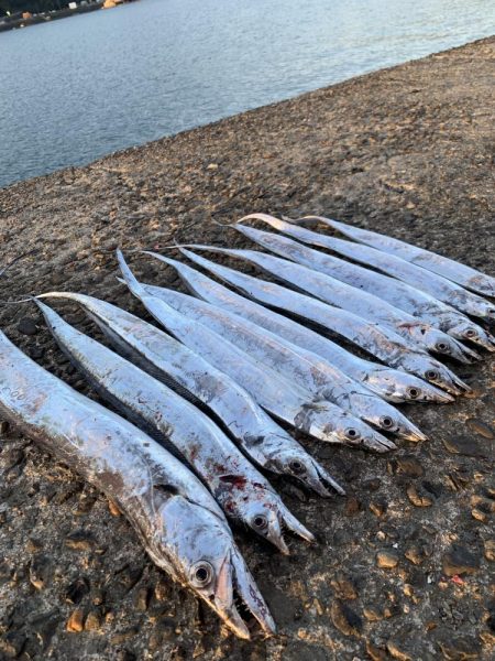 もう夜釣りは激寒です