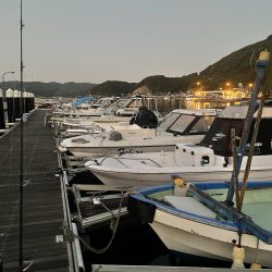 サワラシューティング