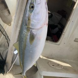 明石沖にてライトジギング