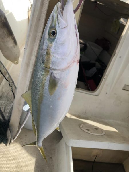 明石沖にてライトジギング