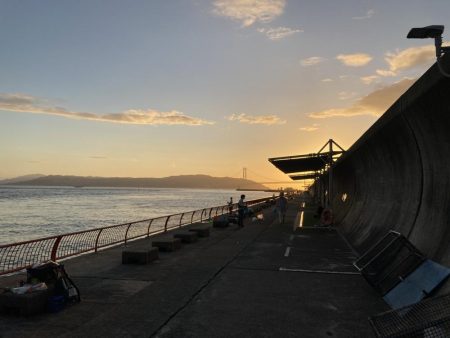 今秋、平磯のマダイ好調なのでは？