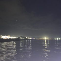 Mキャロアジング