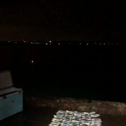 アジングで中アジ！