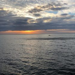 2021 佐渡ヶ島エギング 22回目