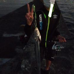 2年越しのタチウオ