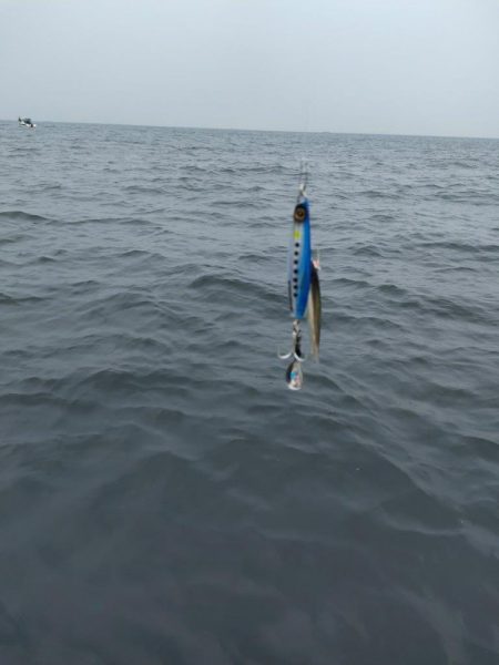 人生初の太刀魚は東京湾ドラゴン！