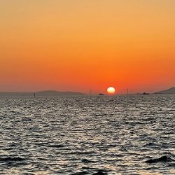 爆釣！ガシラ&アコウ！