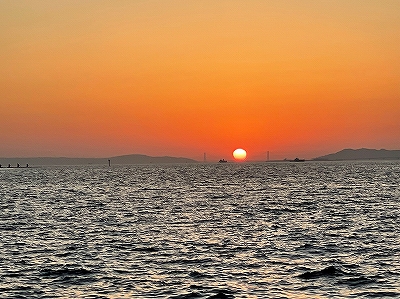 爆釣！ガシラ&アコウ！