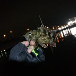 2021/10/03 南港ヘチ釣り（根魚狙い）