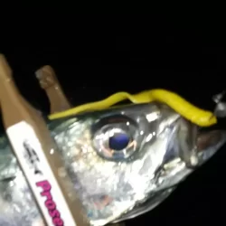 初めてのフロートアジング