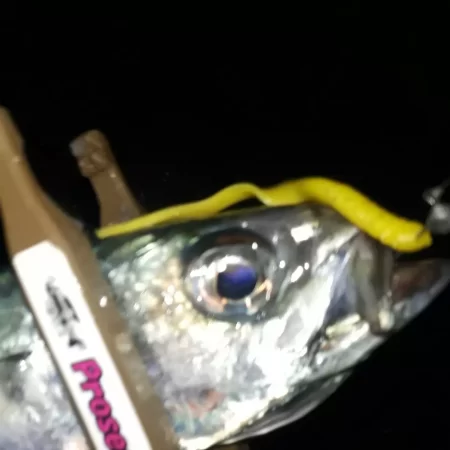 初めてのフロートアジング