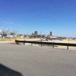 2021/10/30 須磨海岸~漁港ちょい投げ釣り