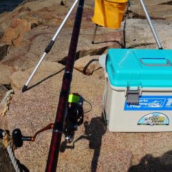 好天のキス釣り