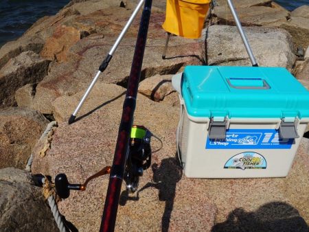 好天のキス釣り