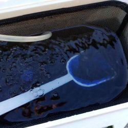 エビ撒き釣りで好釣果!!