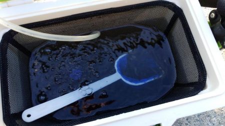 エビ撒き釣りで好釣果!!