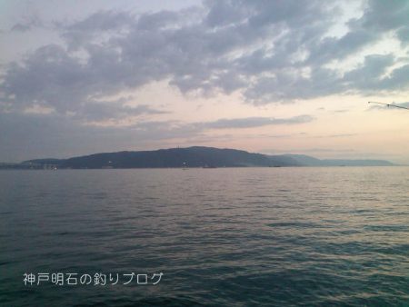 まさかの大サバフィーバー！