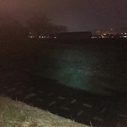 オールドタックルとナマズ