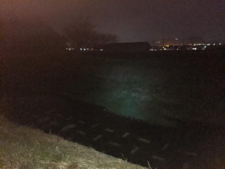 オールドタックルとナマズ