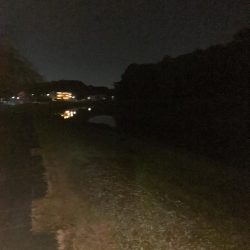 夜のトップウォーター