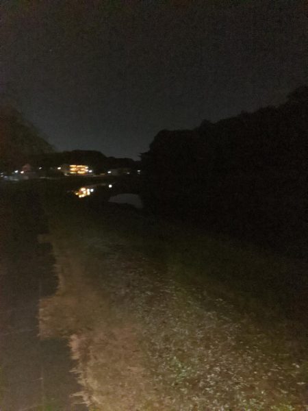 夜のトップウォーター