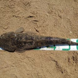 久々釣行でフラットラッシュ