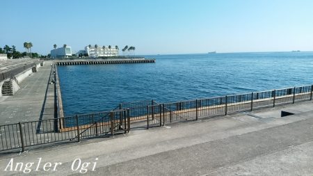 カワハギ&大サバ祭り！！