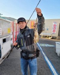 和歌山マリーナシティ釣り公園 釣果