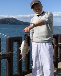 和歌山マリーナシティ釣り公園 釣果