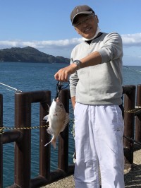 和歌山マリーナシティ釣り公園 釣果