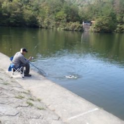 フィッシングレイクたかみや 釣果