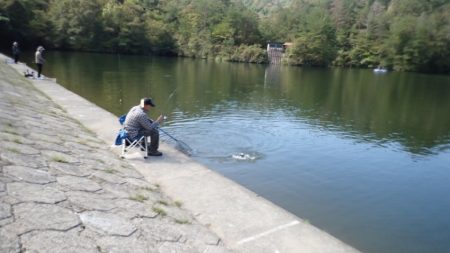 フィッシングレイクたかみや 釣果