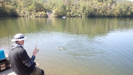 フィッシングレイクたかみや 釣果