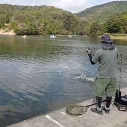フィッシングレイクたかみや 釣果