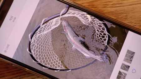 フィッシングレイクたかみや 釣果