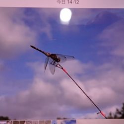 フィッシングレイクたかみや 釣果