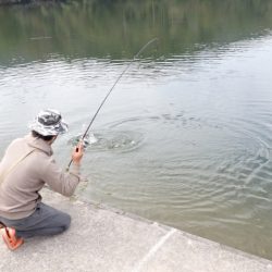 フィッシングレイクたかみや 釣果